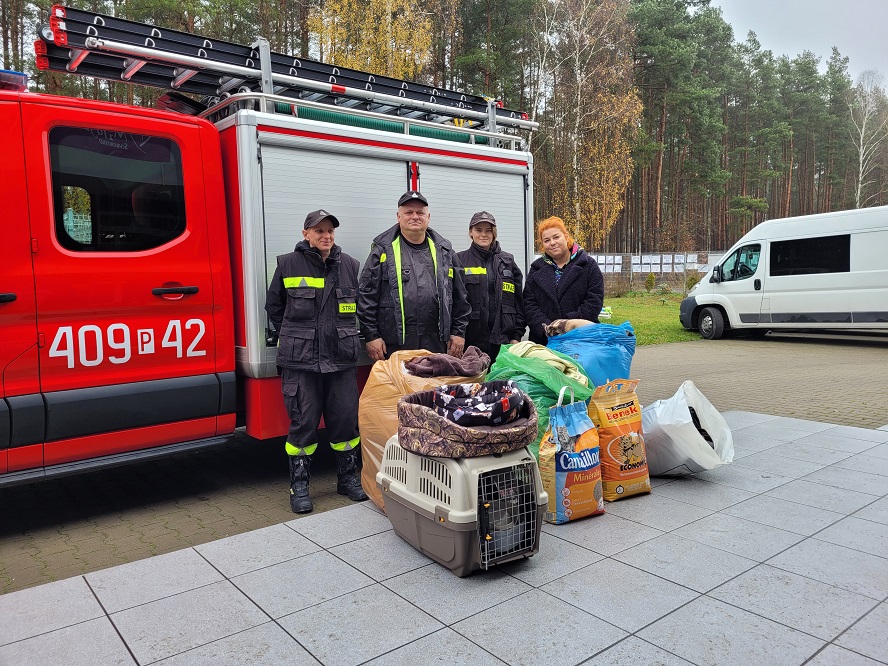 Fot. M.Wolski