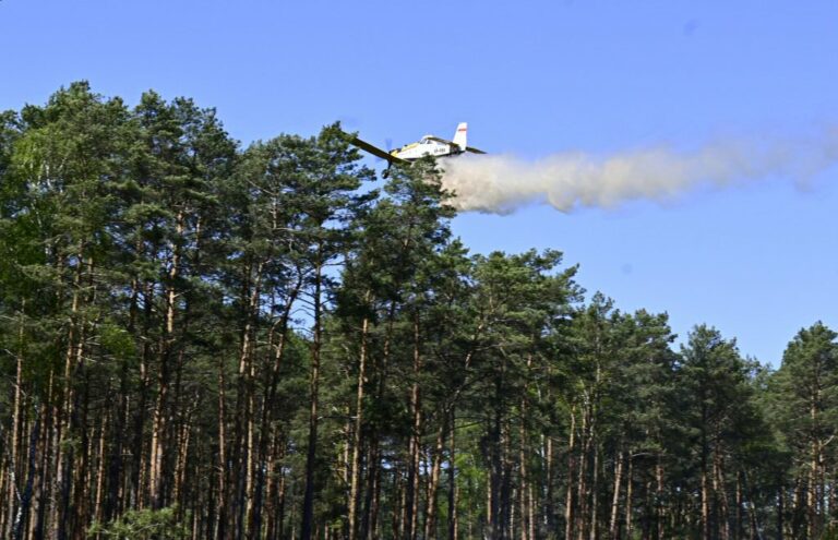 Fot. Nadleśnictwo Sieraków