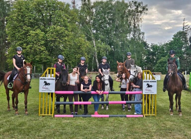 Wolne Miejsca na Naukę Jazdy Konnej w Stajni Demonic Horses!