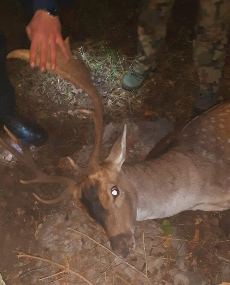 Fot. Straż Gminna Czerwonak