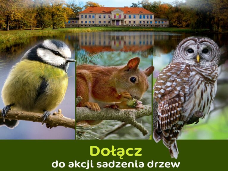 Fot. Urząd Gminy Czerwonak