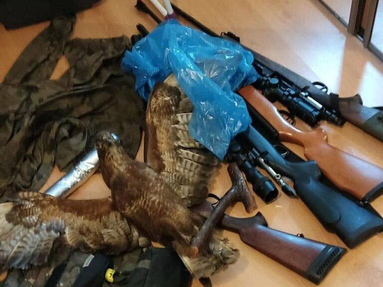 Fot. Komenda Miejska Policji w Poznaniu