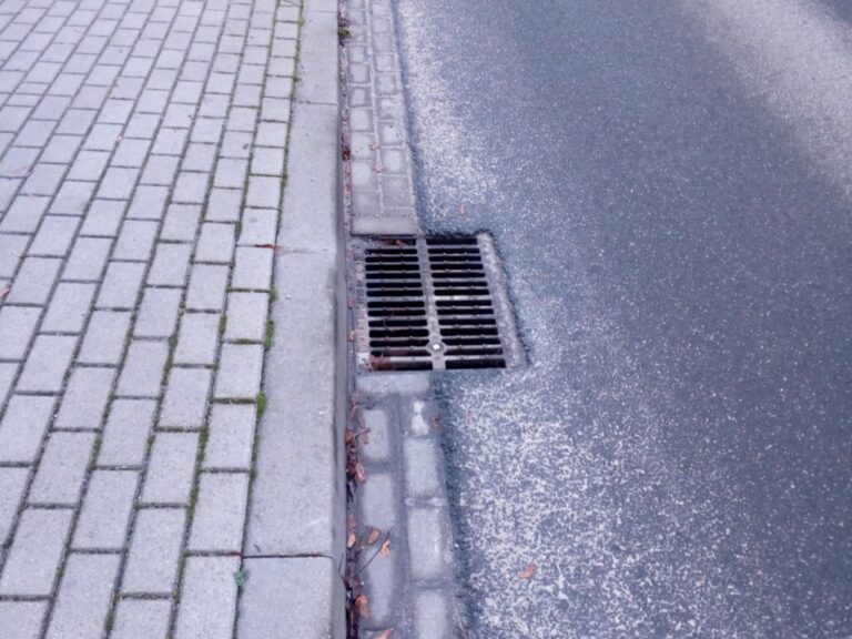 Fot. Straż Miejska w Swarzędzu