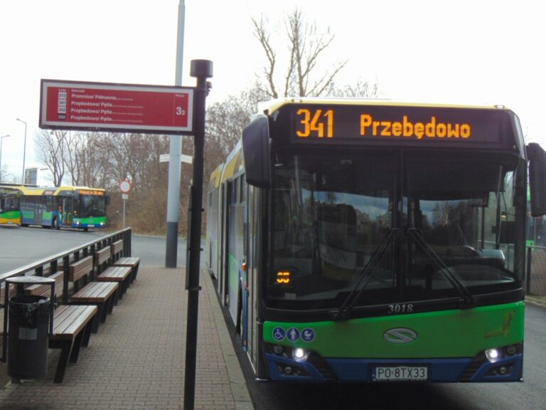 Fot. Janusz Ludwiczak