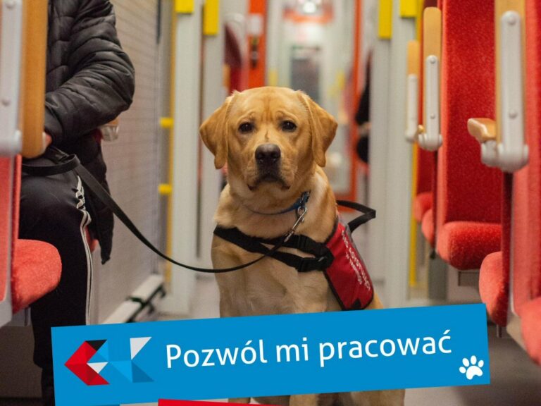 Fot. Koleje Wielkopolskie